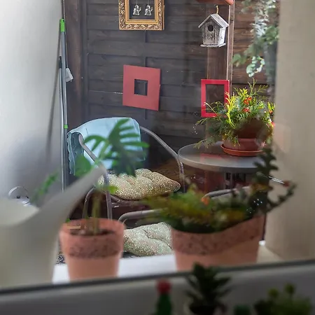 U Olechny 4 Апартаменты Быдгощ