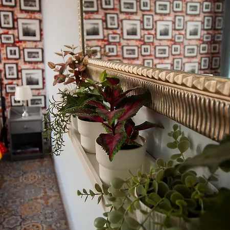 アパート U Olechny 4 ビィドゴシュチュ