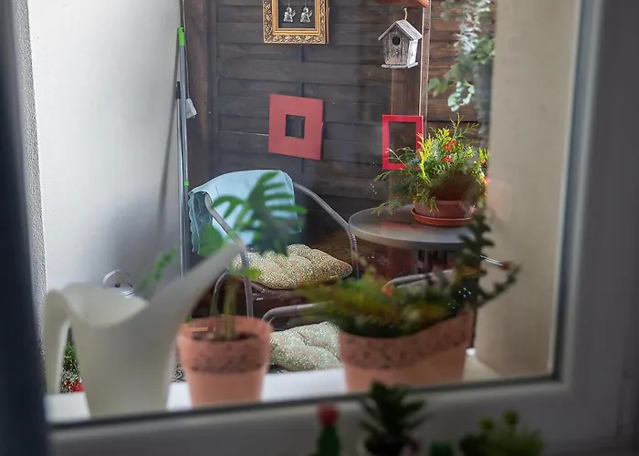 U Olechny 4 Lejlighed Bydgoszcz