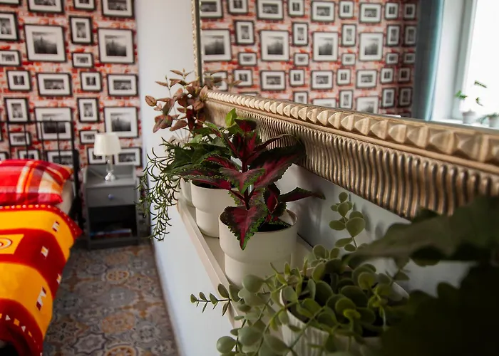 Lejlighed U Olechny 4 Bydgoszcz